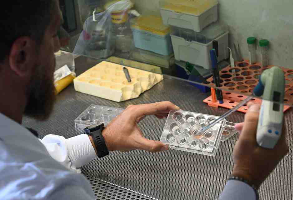 &nbsp;Un ricercatore dell'Universit&agrave; Tor Vergata di Roma