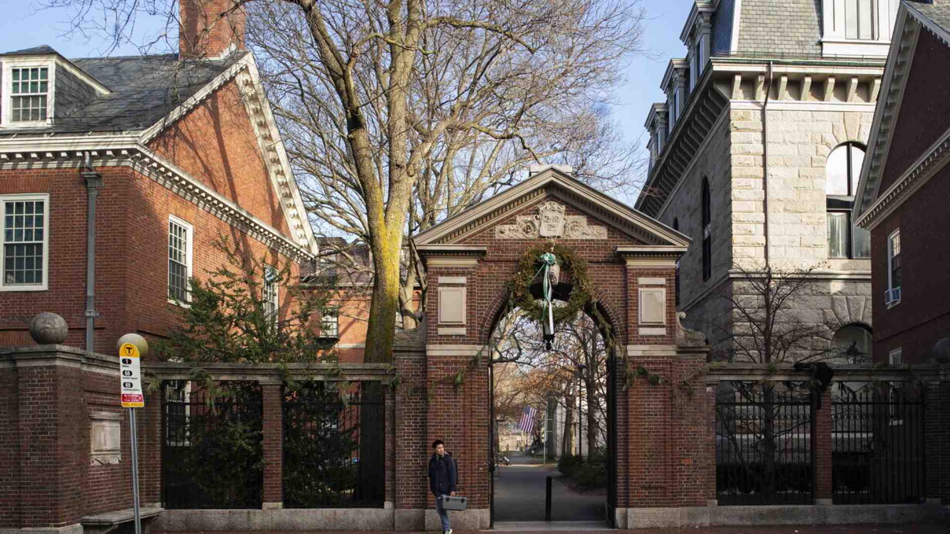 Immagine di Salvare Harvard dall'ideologia woke e dai codici etici