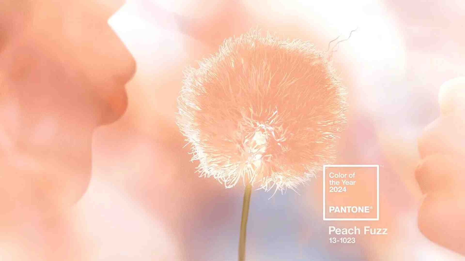 Immagine di I trend del 2024: color pesca, lavoro da casa, IA, show food e tanto ambientalismo