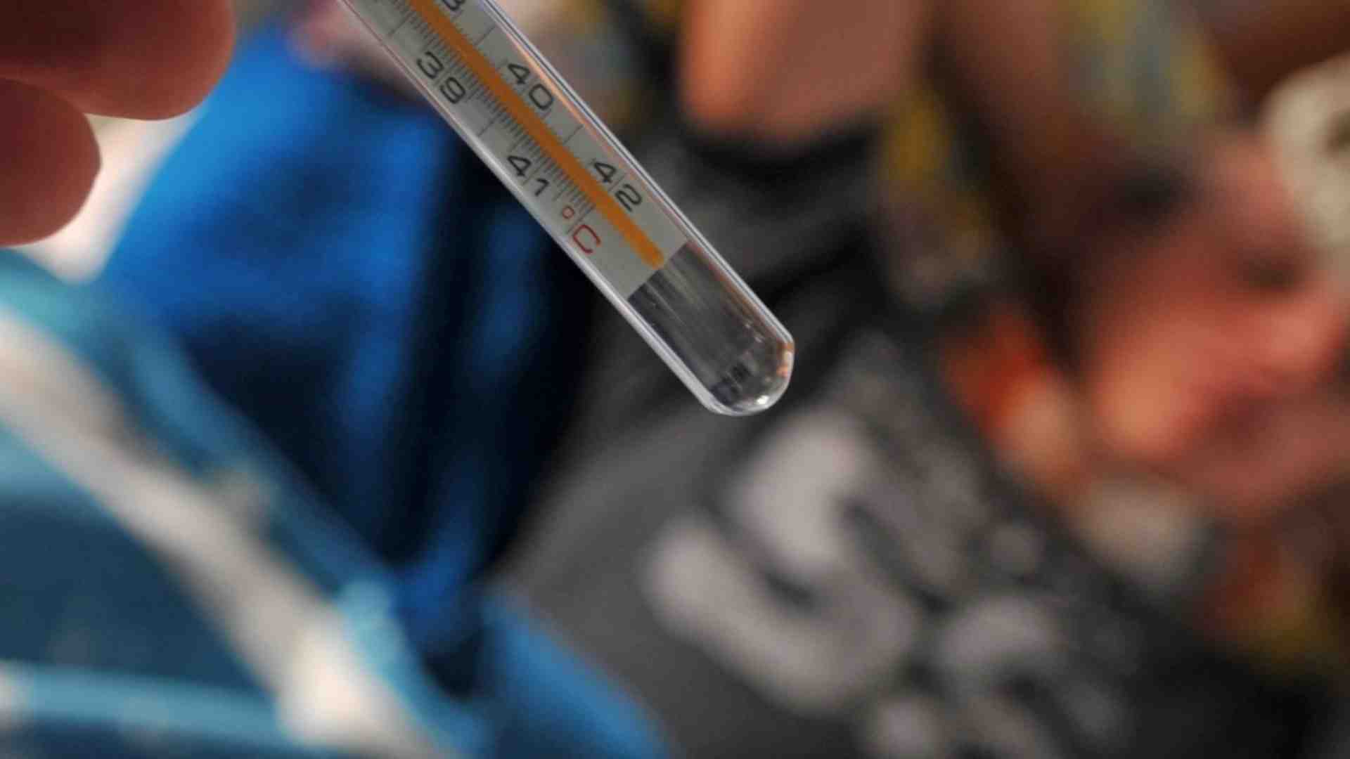 Immagine di Morti di influenza e falsi allarmi: «Non c'è un aumento di casi gravi»
