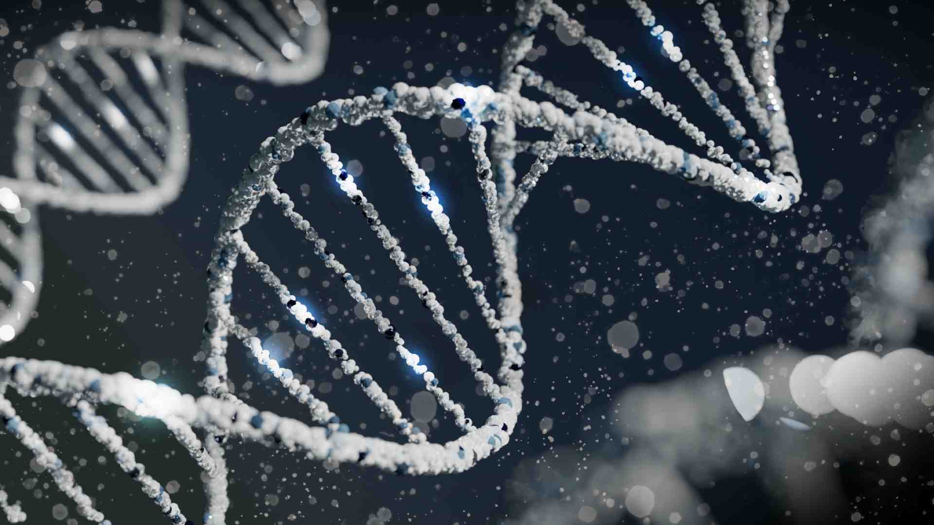 Immagine di Come gli antichi Dna influenzano quello che siamo