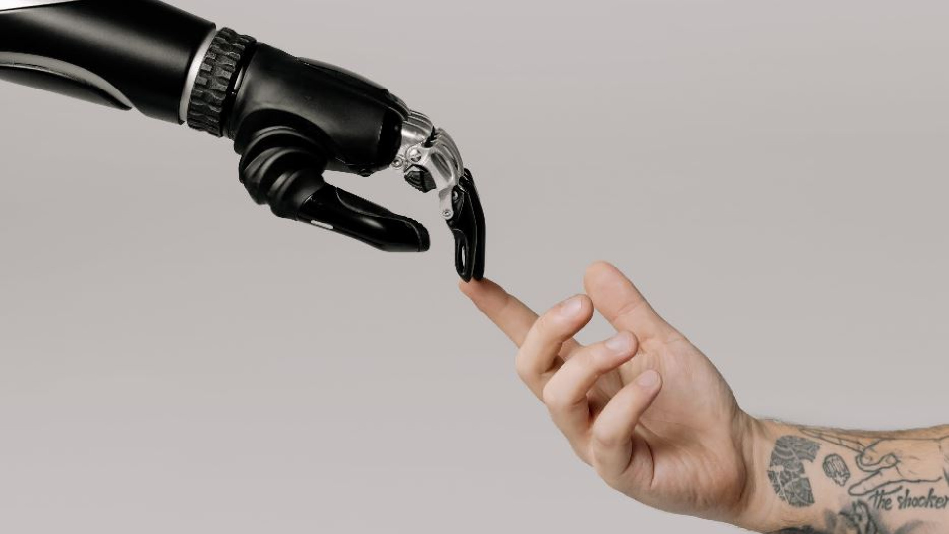 Immagine di Avvenire di Calabria lancia la sua app con l'intelligenza artificiale