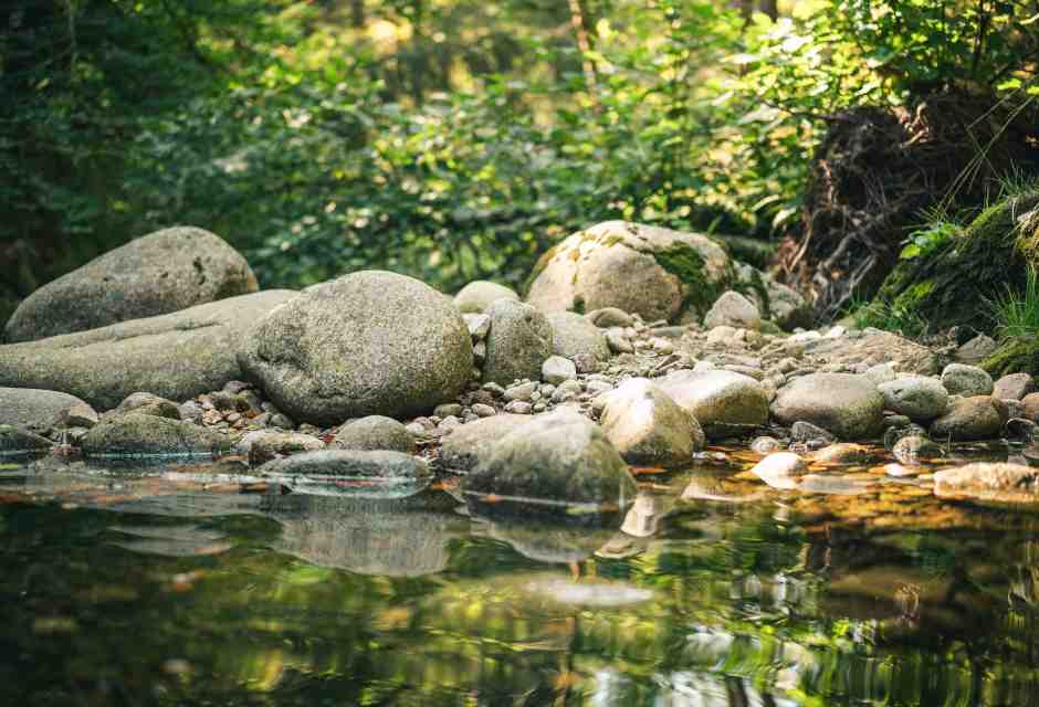 (Unsplash)
