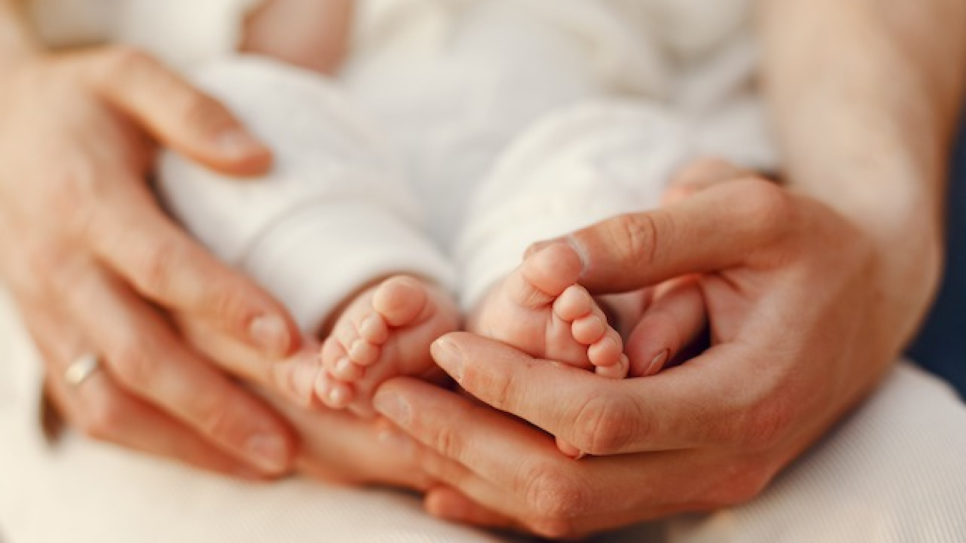 Immagine di «Figli, una ricchezza per tutti. Chi non ha argomenti, attacca»
