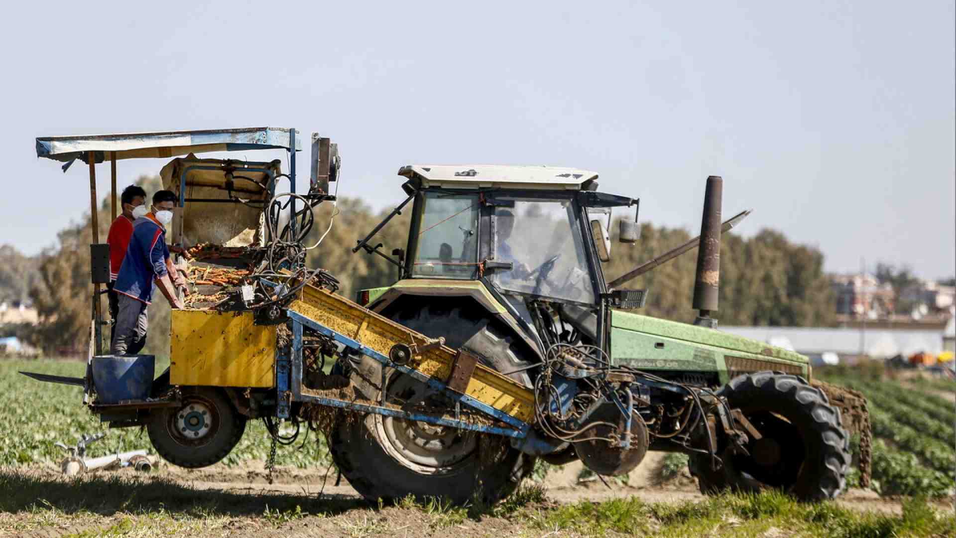 Immagine di Ecco cosa c’entrano i trattori con l’alfabetizzazione. Spunti per il futuro