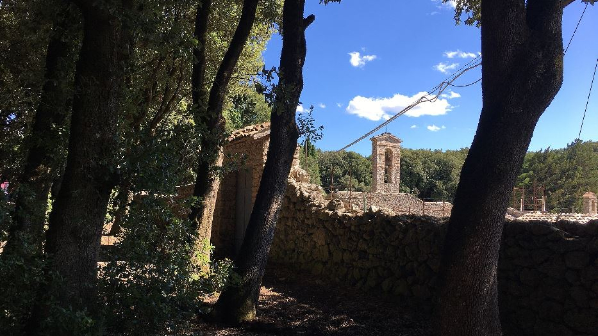 Immagine di Dalla Porziuncola alla Verna: negli eremi il vero volto di san Francesco