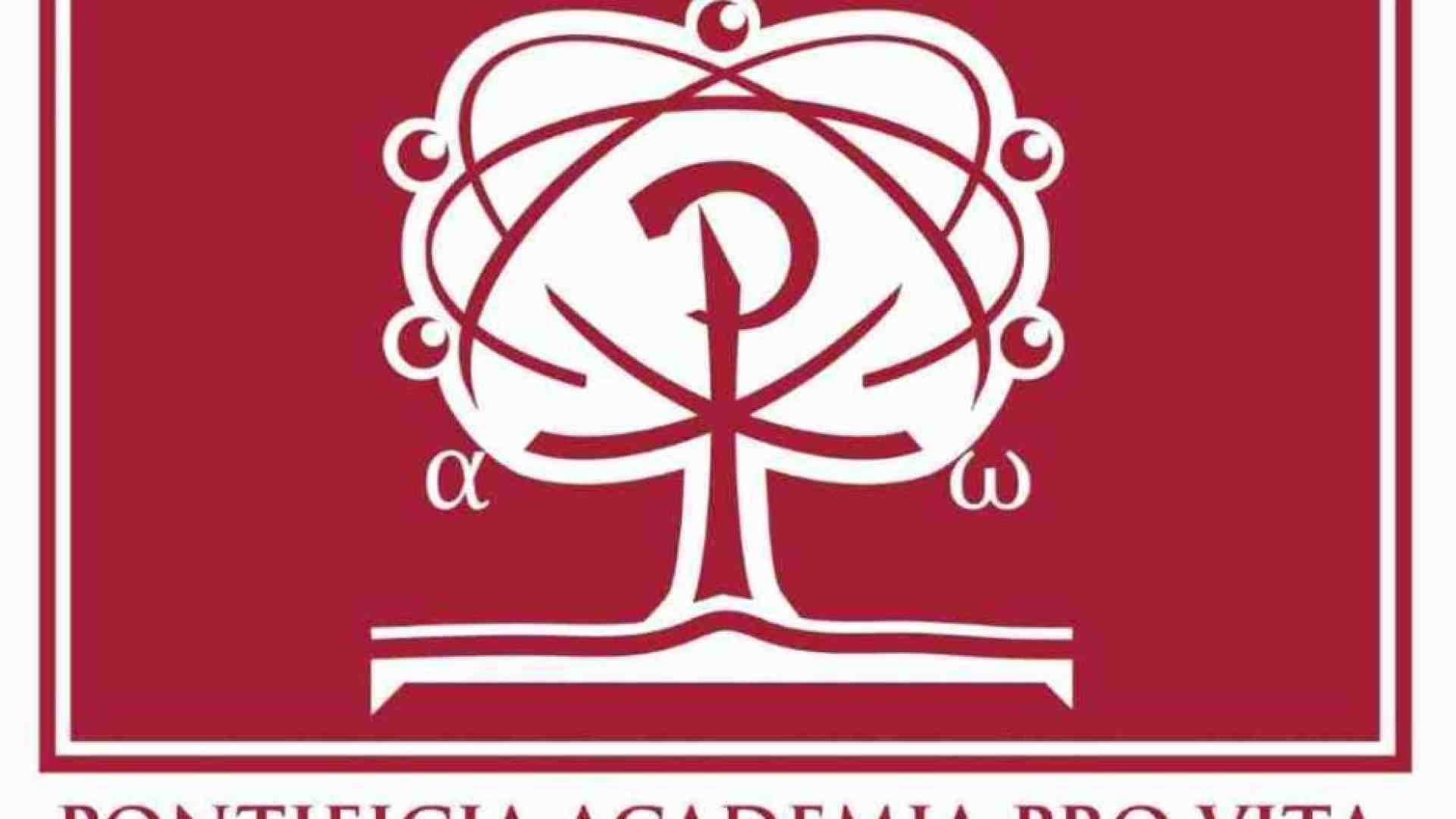 Immagine di Vaticano e World Medical Association insieme per la ricerca biomedica