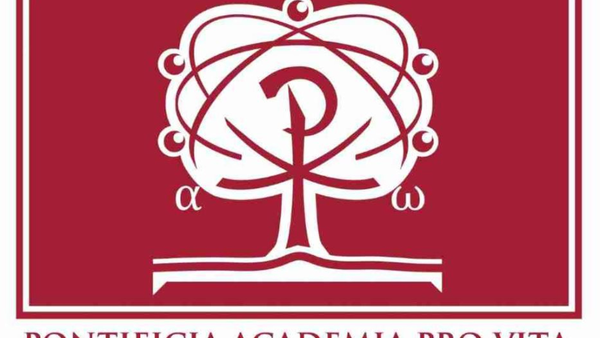 Immagine di Vaticano e World Medical Association insieme per la ricerca biomedica