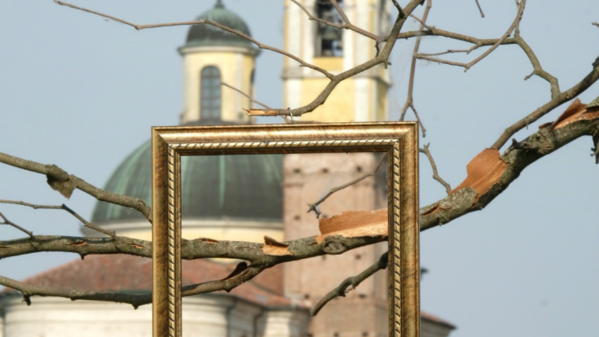 Immagine di Natura e arte, mondi in cornice