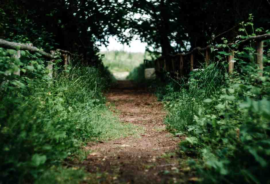(Unsplash)