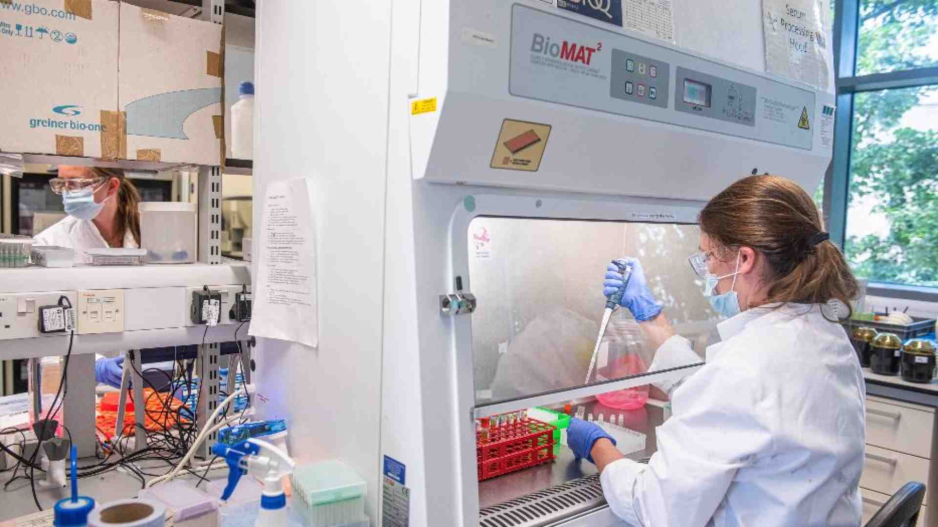 Immagine di È già un 2024 di grandi scoperte nella lotta al cancro