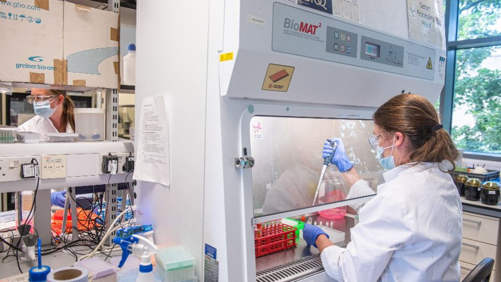 Immagine di È già un 2024 di grandi scoperte nella lotta al cancro