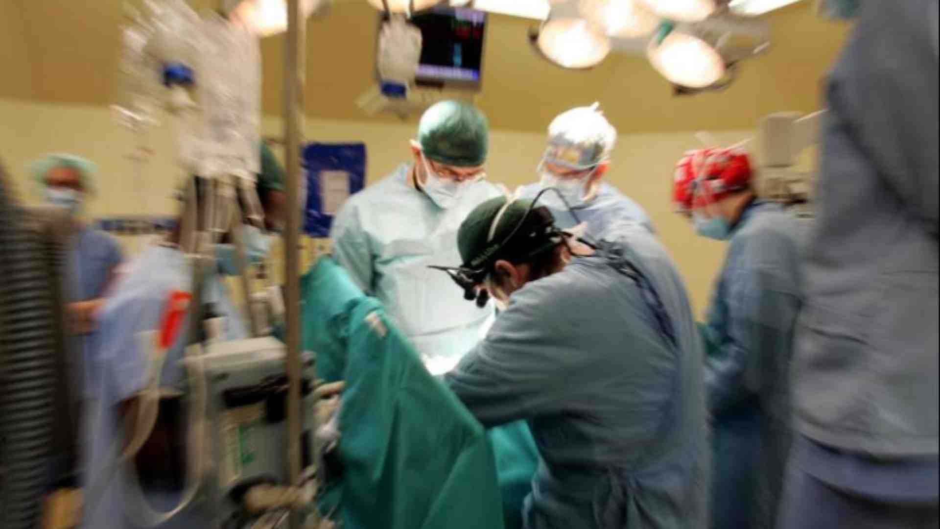 Immagine di Nel 2023 c'è stato un aumento record di trapianti e donazioni di organi