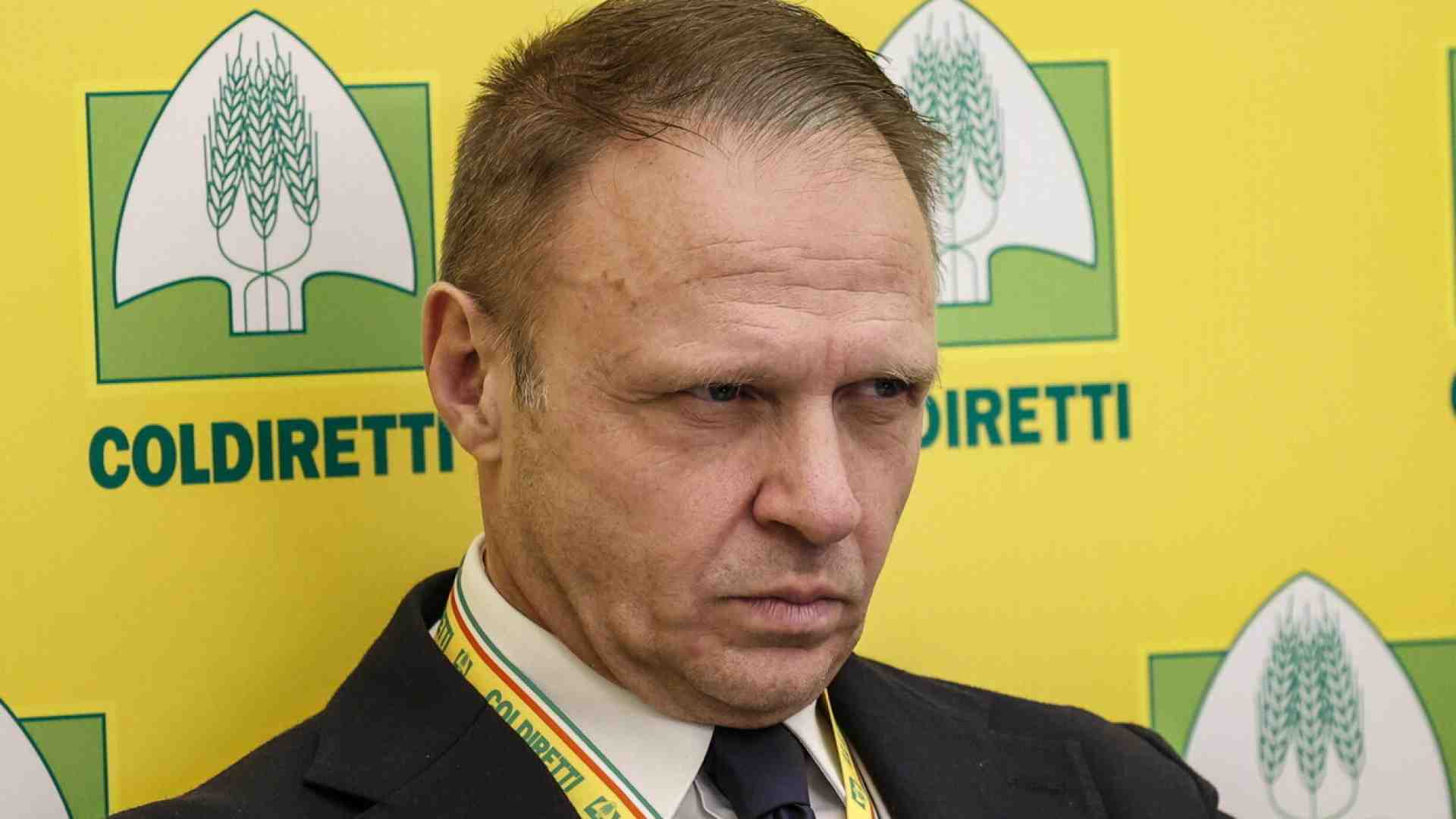 Immagine di L’industria agroalimentare contro la legge Lollobrigida sulla “carne sintetica”