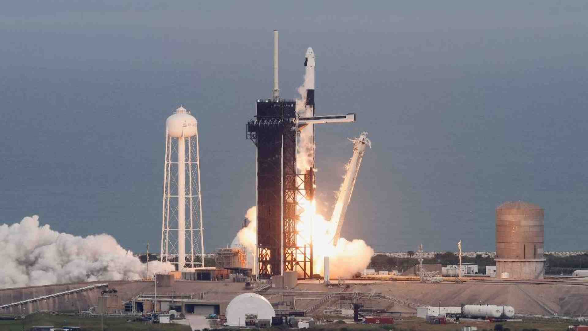 Immagine di I linfociti vanno in orbita. Per colpire meglio i tumori
