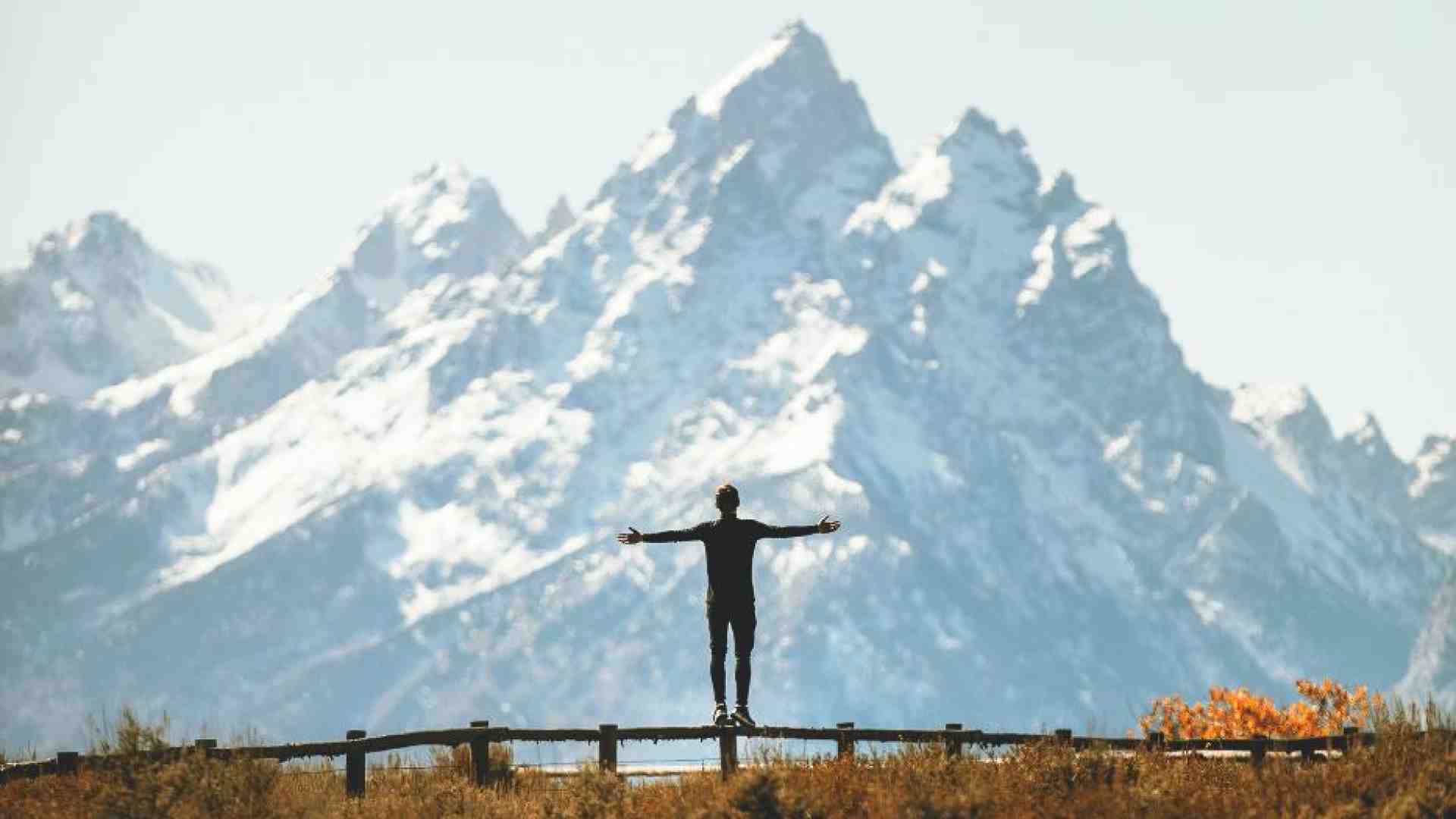 Immagine di Dopo l'antropocentrismo: equilibrio cercasi tra uomo e altri viventi