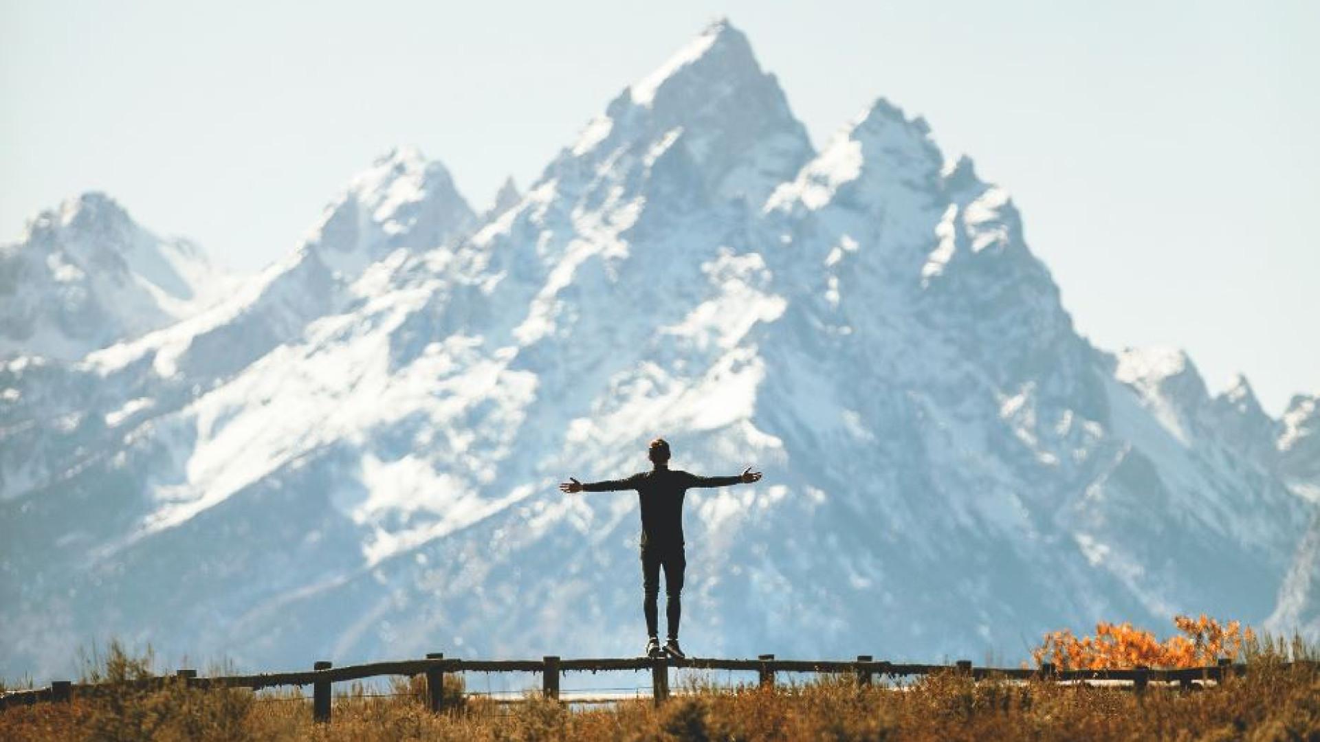 Immagine di Dopo l'antropocentrismo: equilibrio cercasi tra uomo e altri viventi