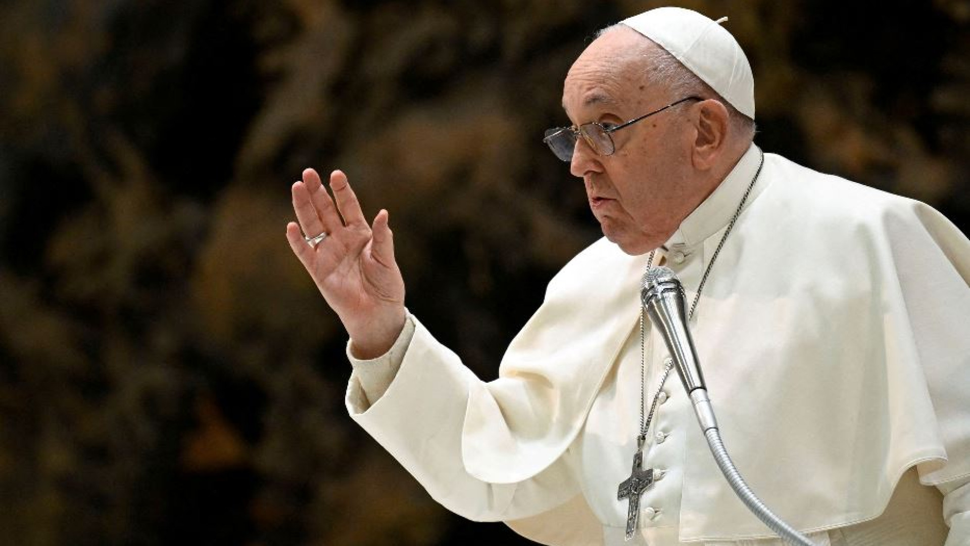 Immagine di Il Papa: in Medio Oriente necessaria la soluzione dei due Stati