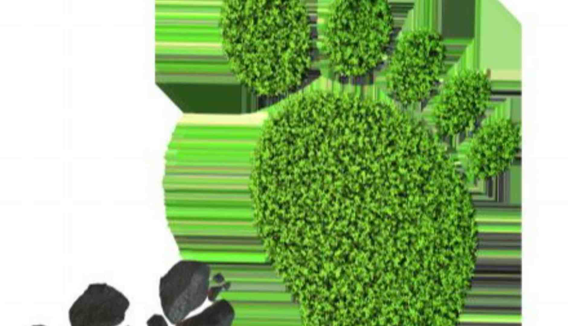 Immagine di La nostra impronta sul pianeta: possiamo consumare meno Terra?