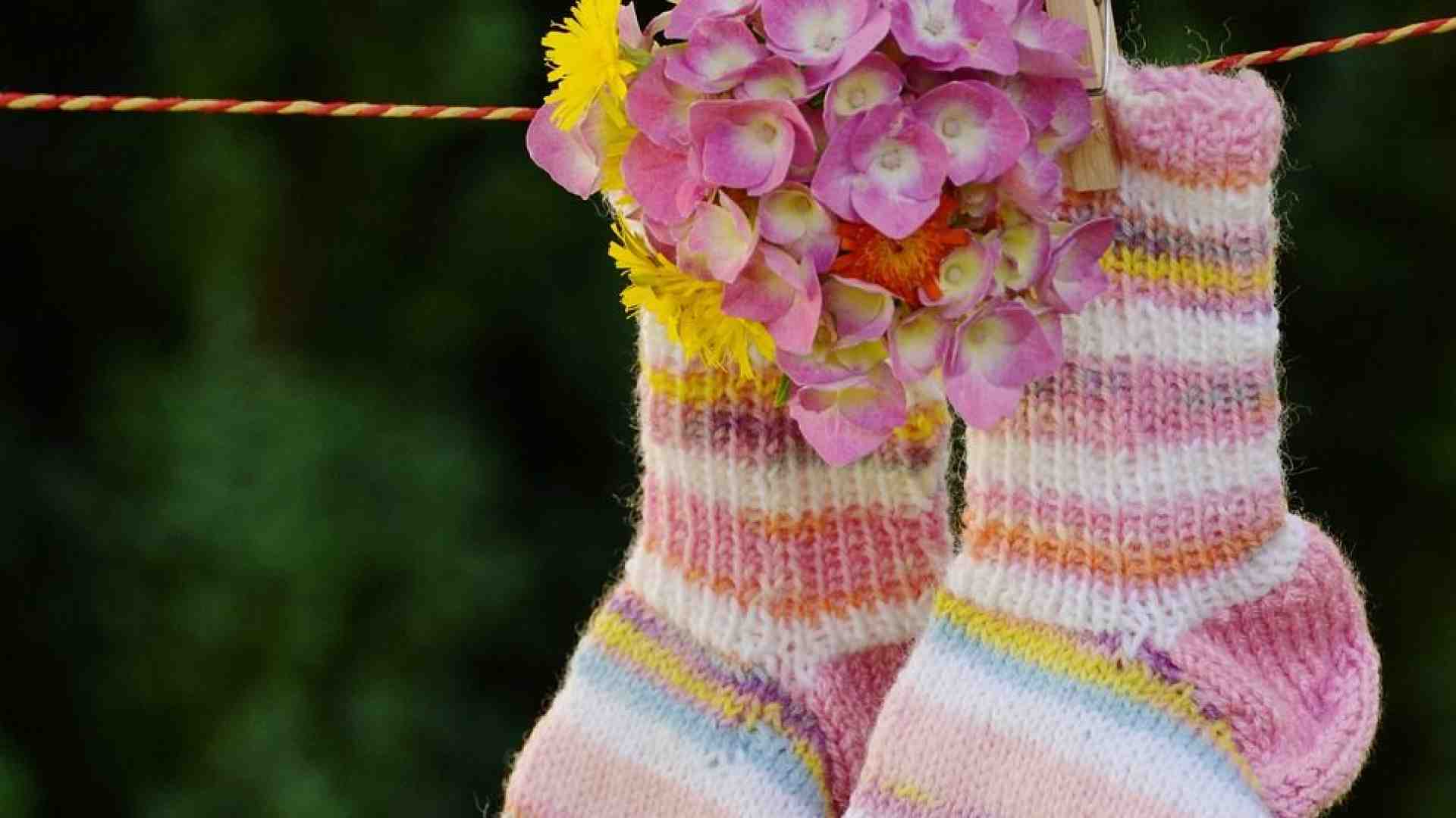 Immagine di La forza della vita ci sorprende