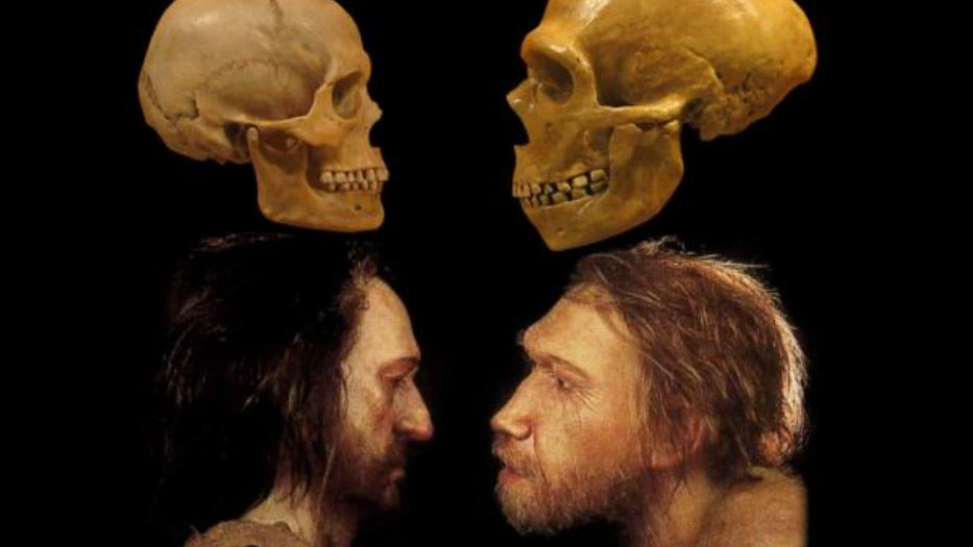 Immagine di Sapiens e Neanderthal vicini di casa nell'era glaciale
