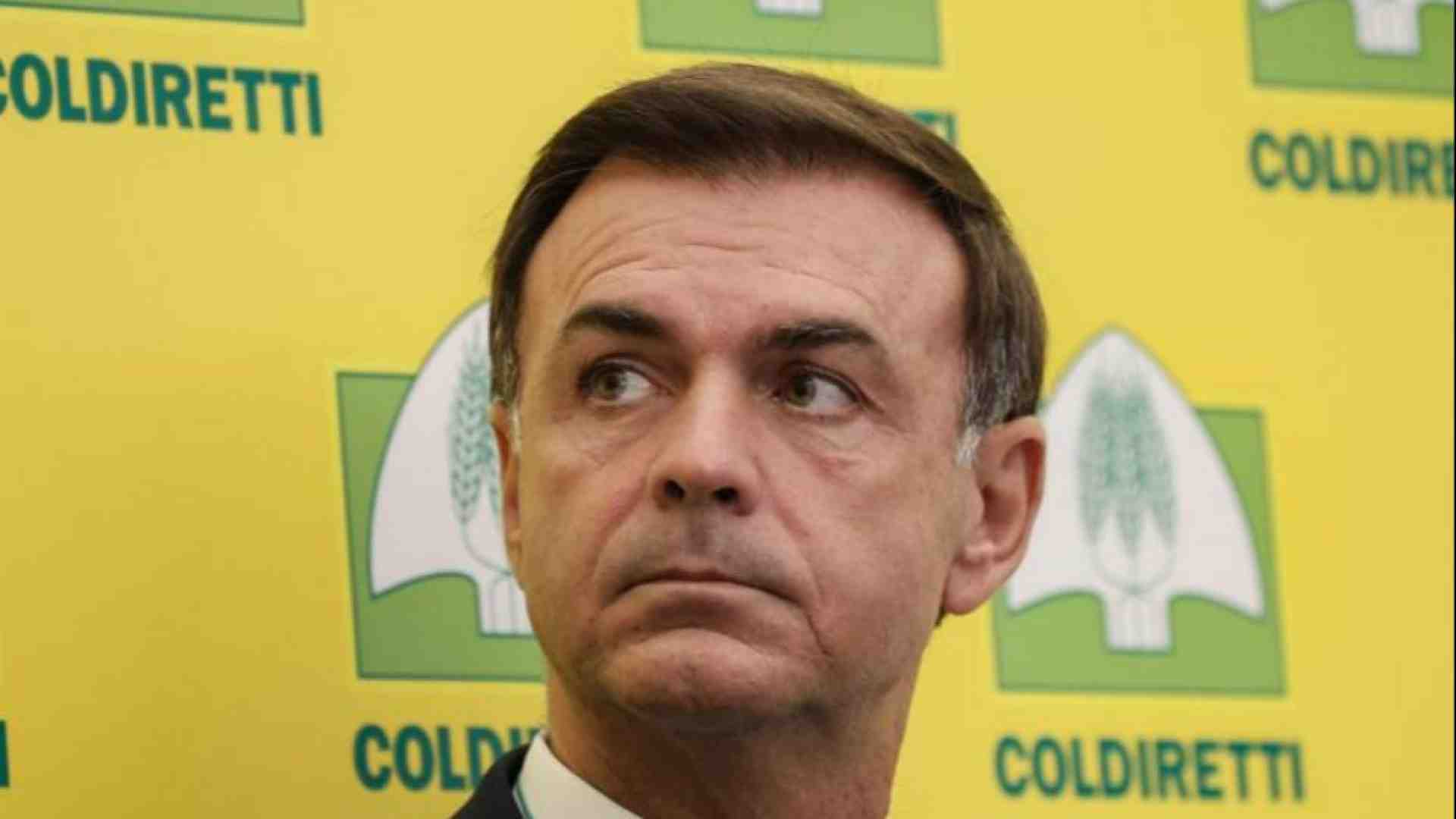 Immagine di Il presidente di Coldiretti: «Troppe follie green, invertiamo la rotta»