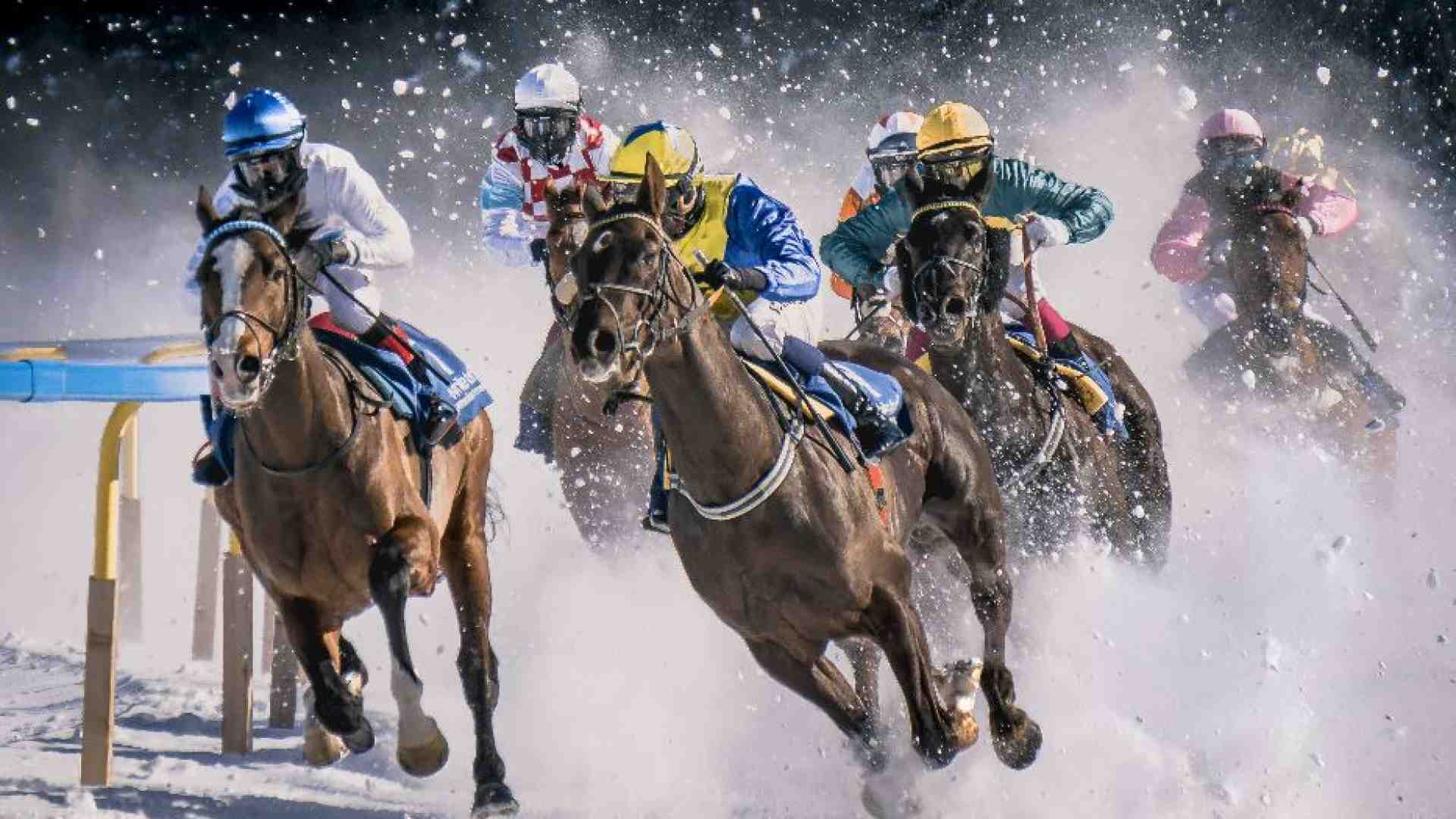 Immagine di Darsi all’ippica per creare mondi: il caso Gerald Murnane