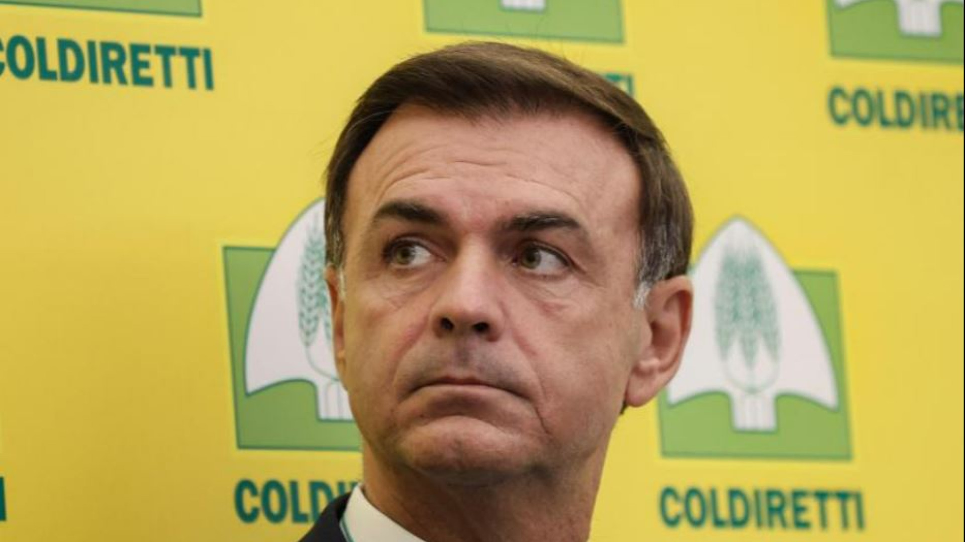 Immagine di Il presidente di Coldiretti: «Troppe follie green, invertiamo la rotta»