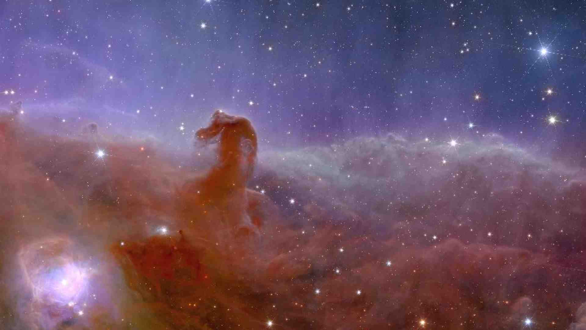 Immagine di Nell'occhio di Euclid la culla delle stelle. E del nostro immaginario