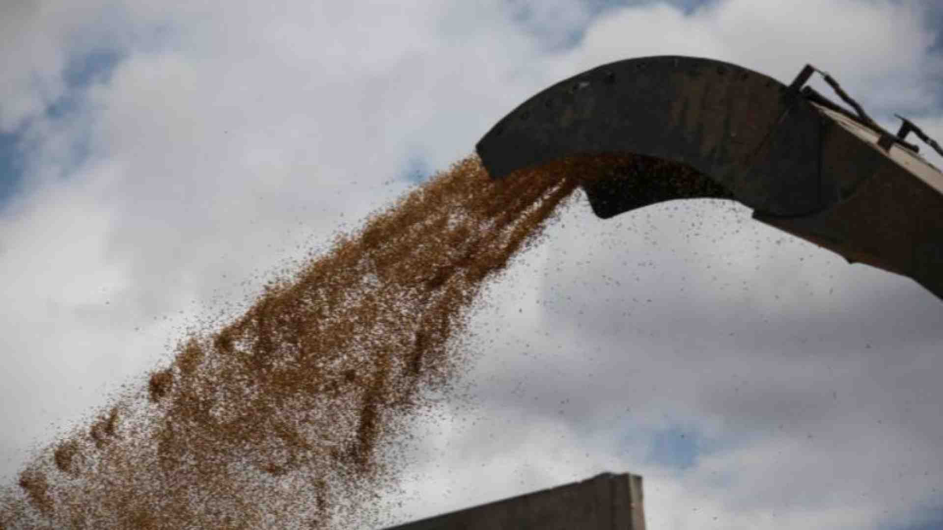Immagine di Materie prime, calano i prezzi e salgono i rischi