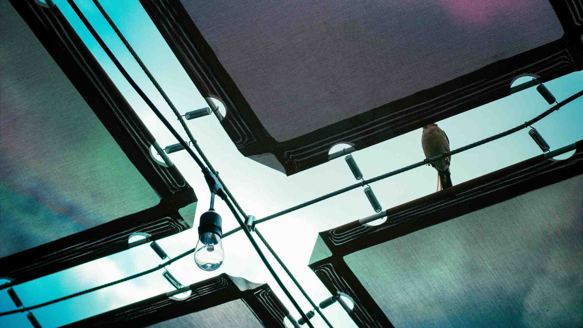 Immagine di Dialogo tra un esperto di IA e un economista su un futuro super produttivo, ma poco umanistico