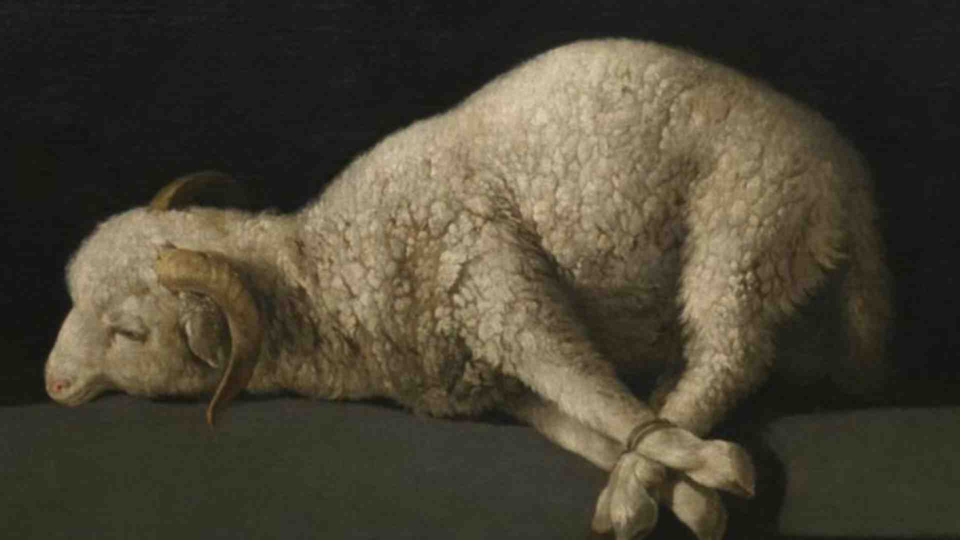 Immagine di Con l’Incarnazione Dio salverà la creazione