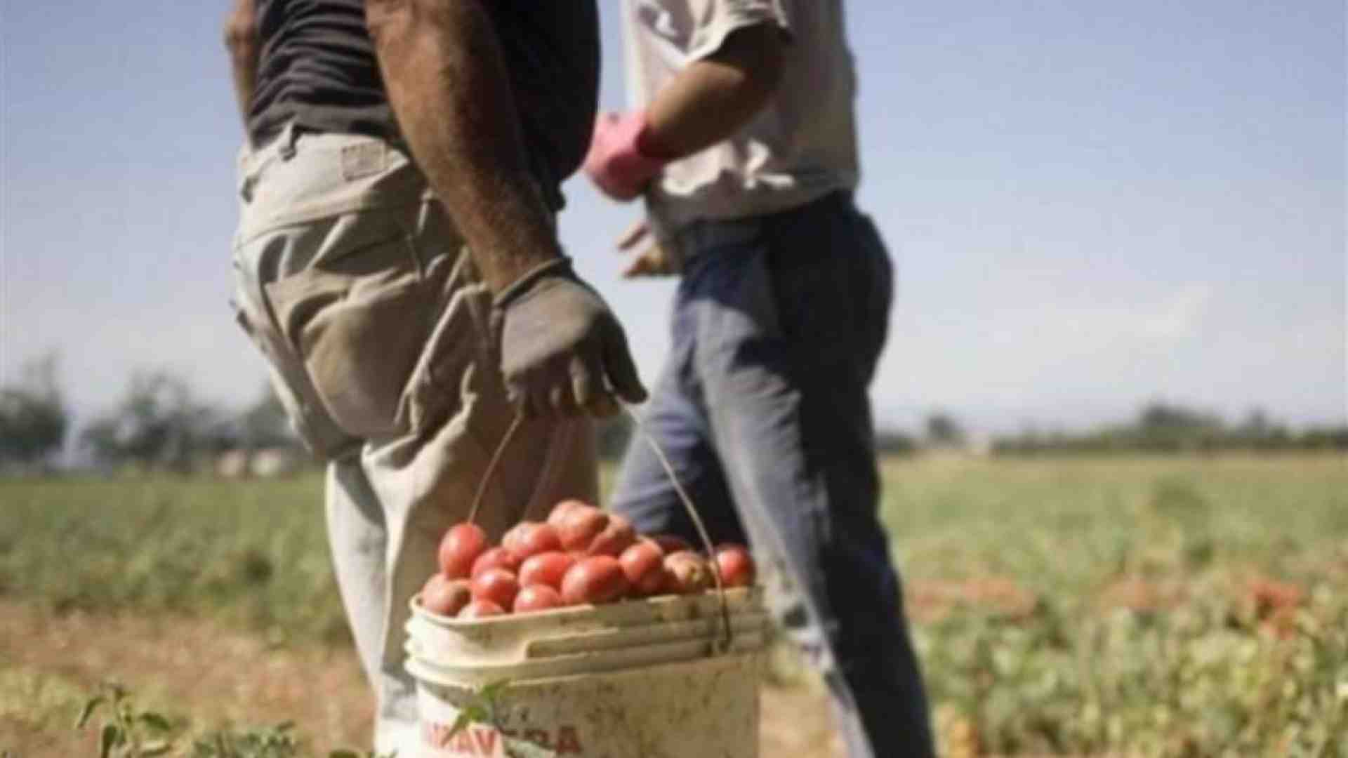 Immagine di Caporalato, la vittoria di Balbir: «Giustizia per tutti gli sfruttati»