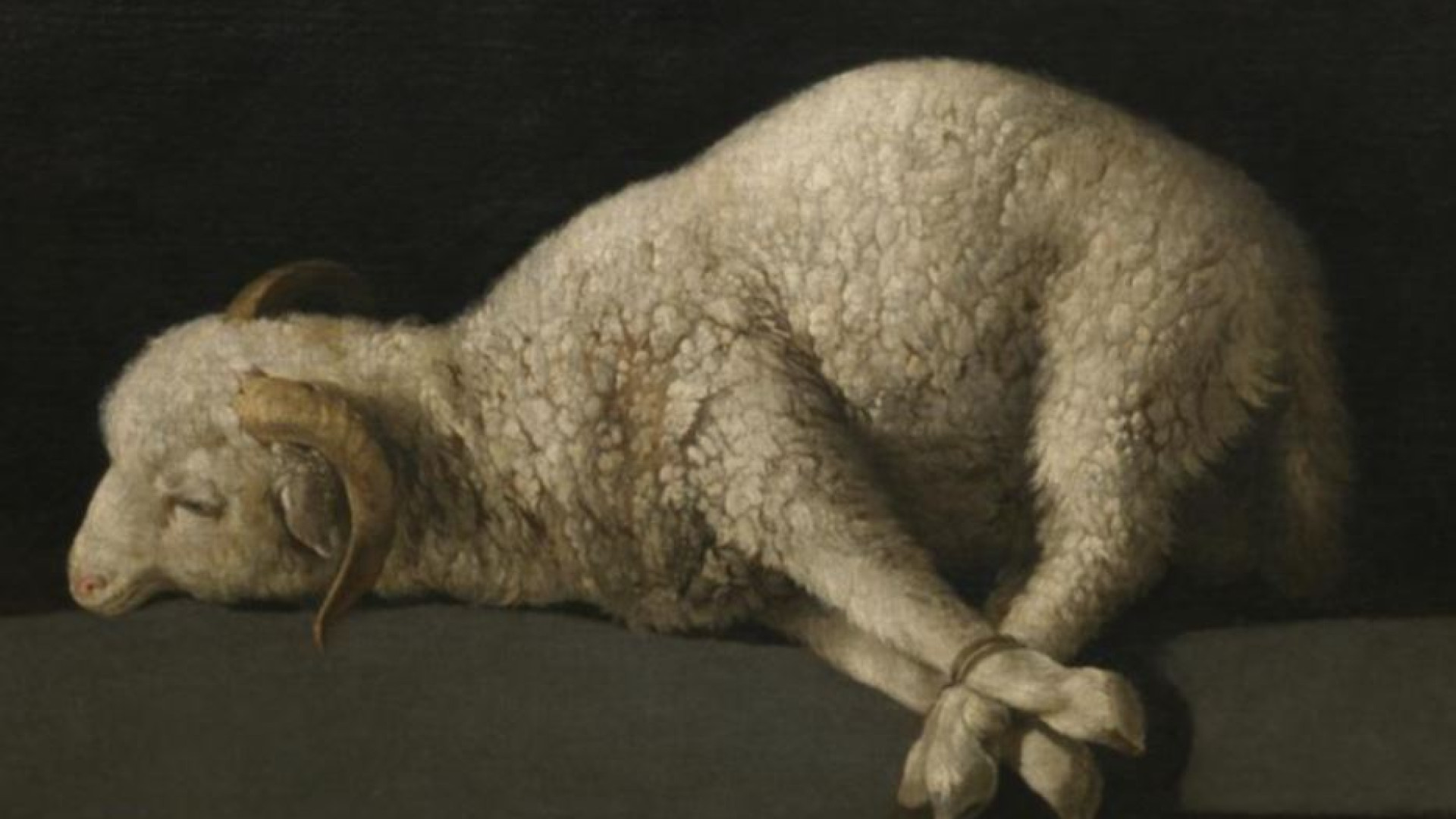 Immagine di Con l’Incarnazione Dio salverà la creazione