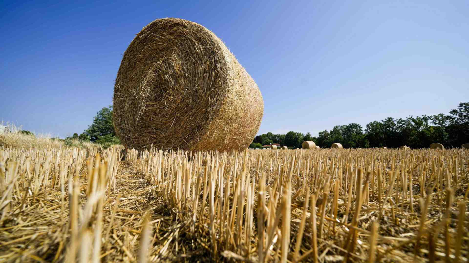 Immagine di Sorpresa: l’aria padana non è mai stata così respirabile