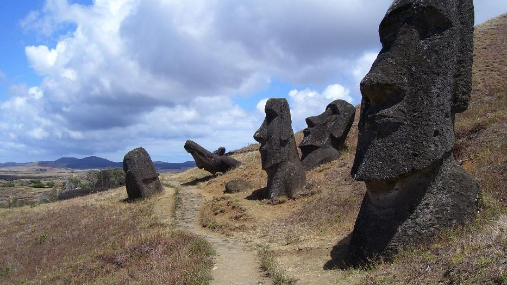 Immagine di La scrittura a Rapa Nui è nata prima dell'arrivo degli europei