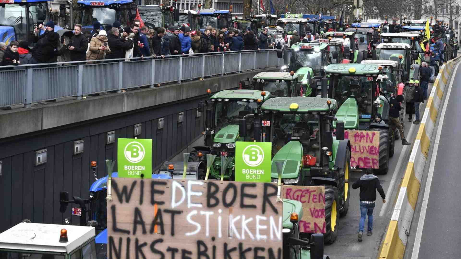 Immagine di Quando sono iniziate le proteste dei trattori in Unione europea
