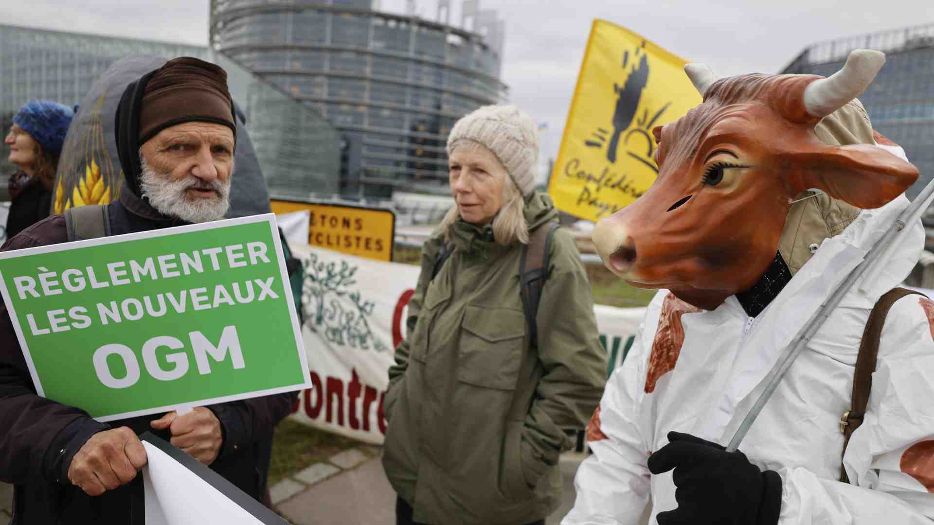 Immagine di La protesta degli agricoltori manda in cortocircuito la eco-sinistra sulle biotecnologie