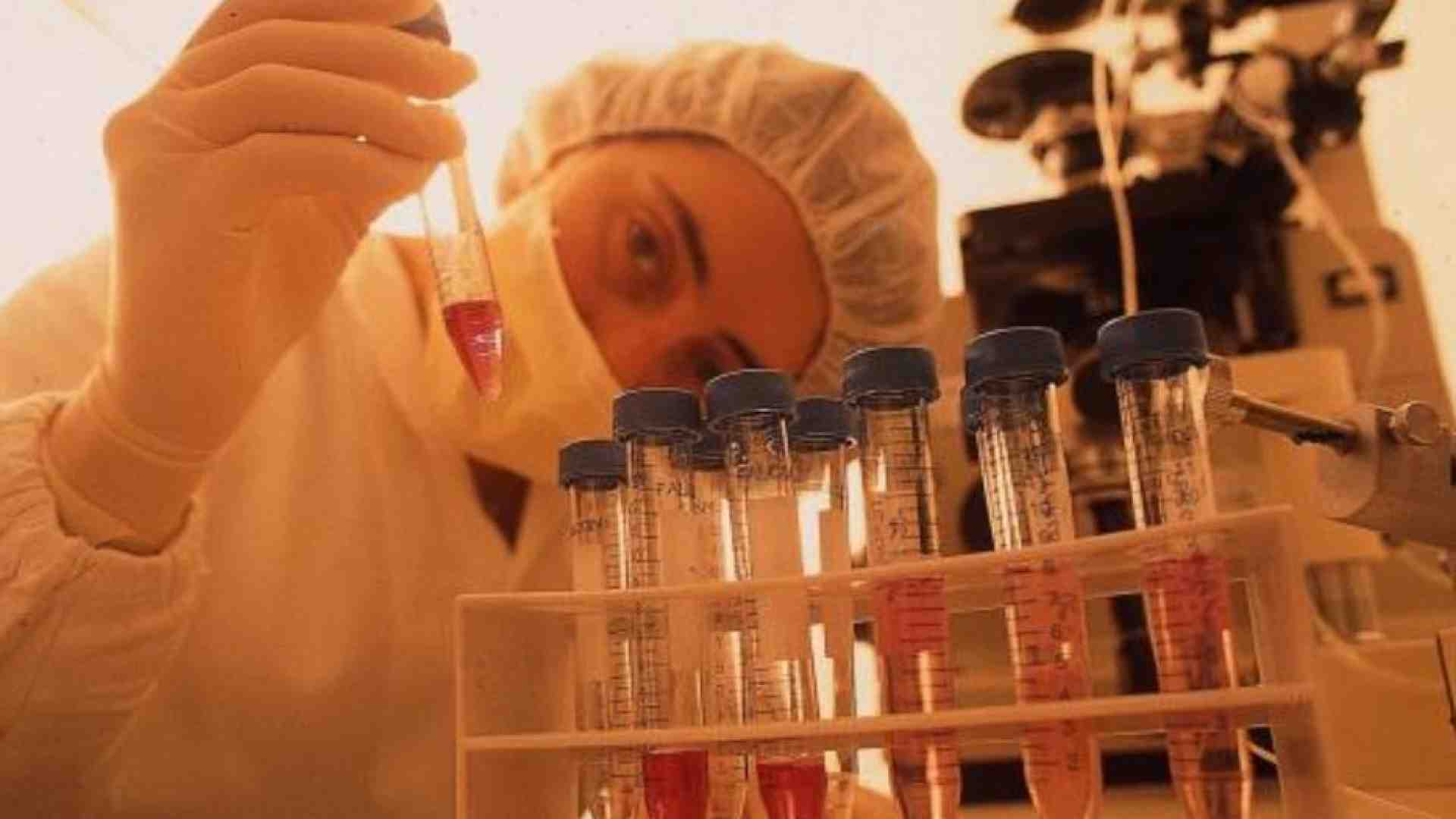 Immagine di Vent'anni di provetta: perché la legge 40 non è cattolica, ma serve ancora