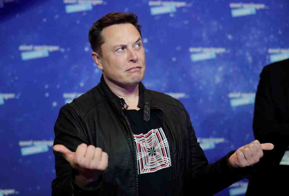 Elon Musk (Ansa)