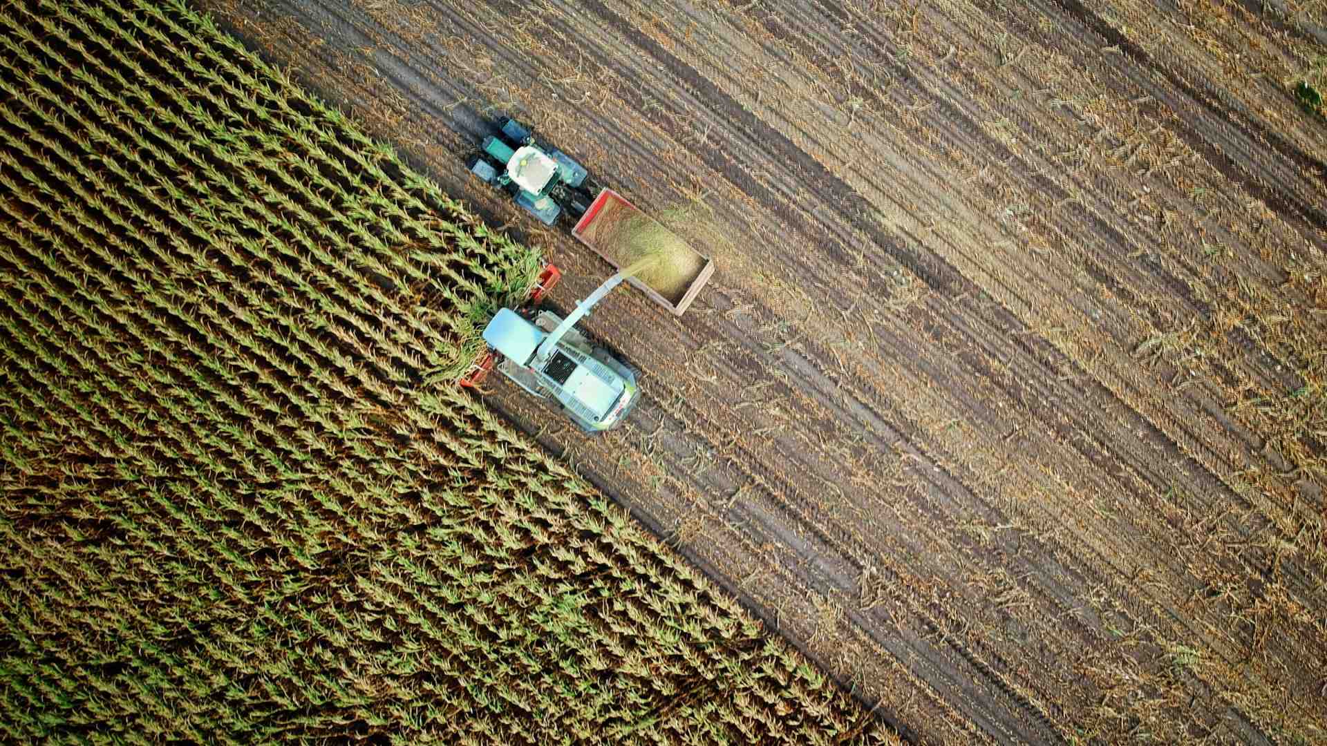Immagine di “Sì alle Ngt per un'agricoltura sostenibile”. La svolta biotech di Legacoop Agroalimentare