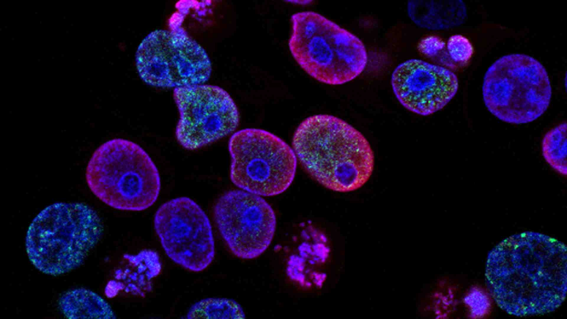 Immagine di La condivisione social delle nostre informazioni genetiche