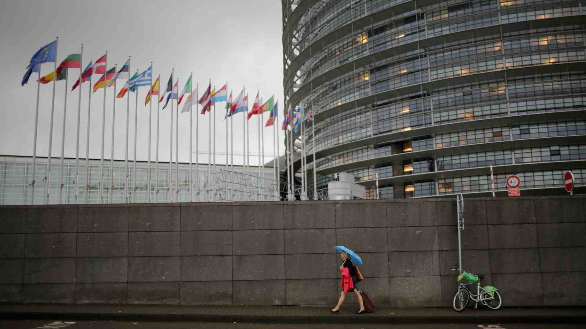 Immagine di L'appello dei giovani liberaldemocratici per l'unità alle elezioni europee
