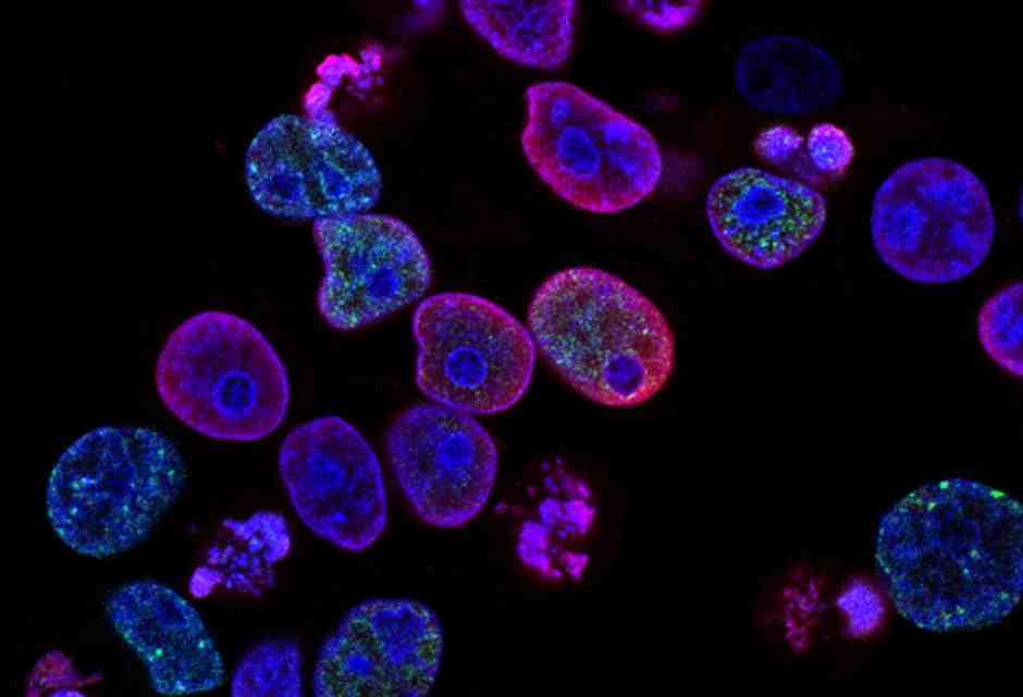 La condivisione social delle nostre informazioni genetiche