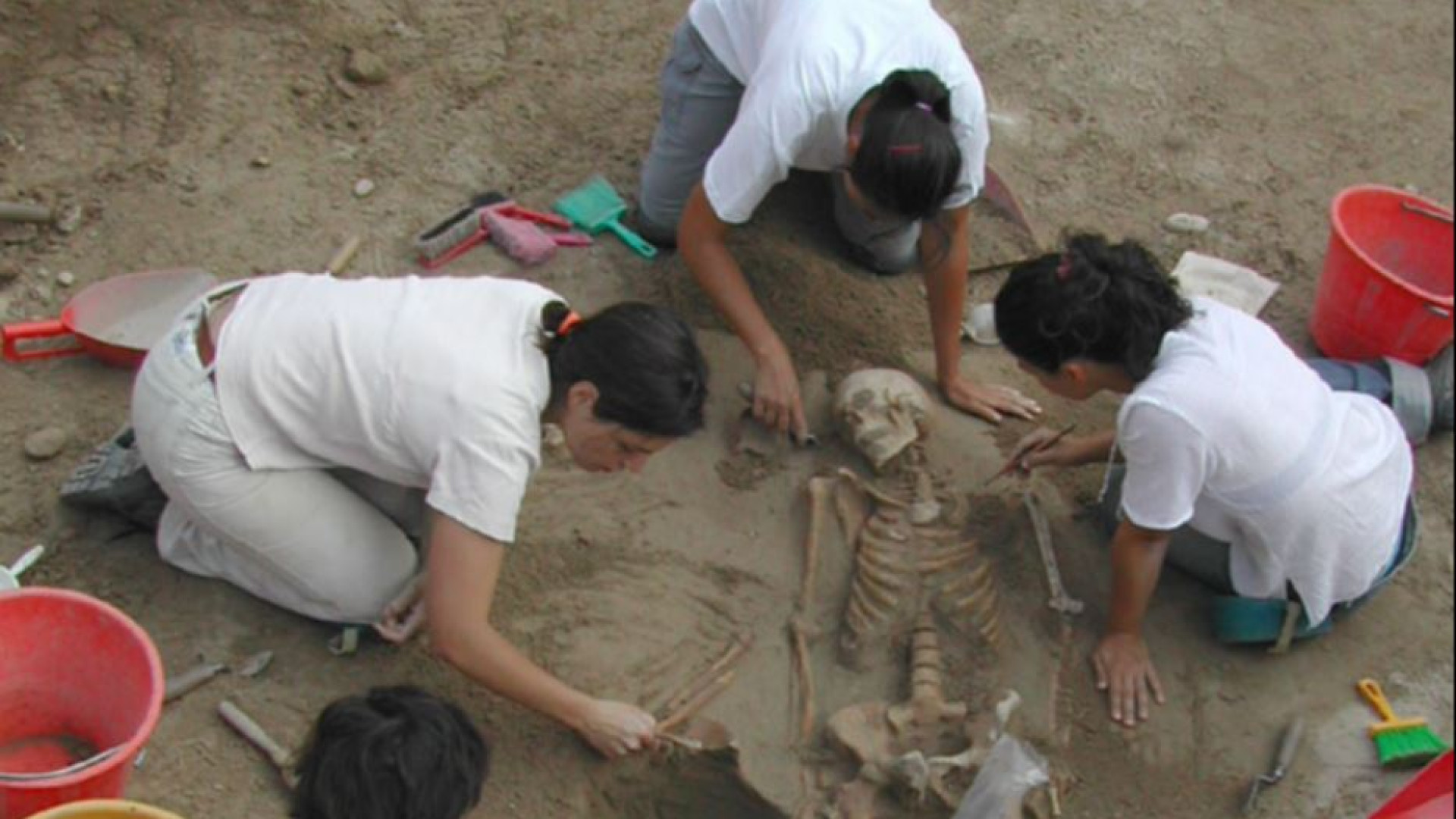 Immagine di Resti di uomini e animali nella necropoli preromana di Verona