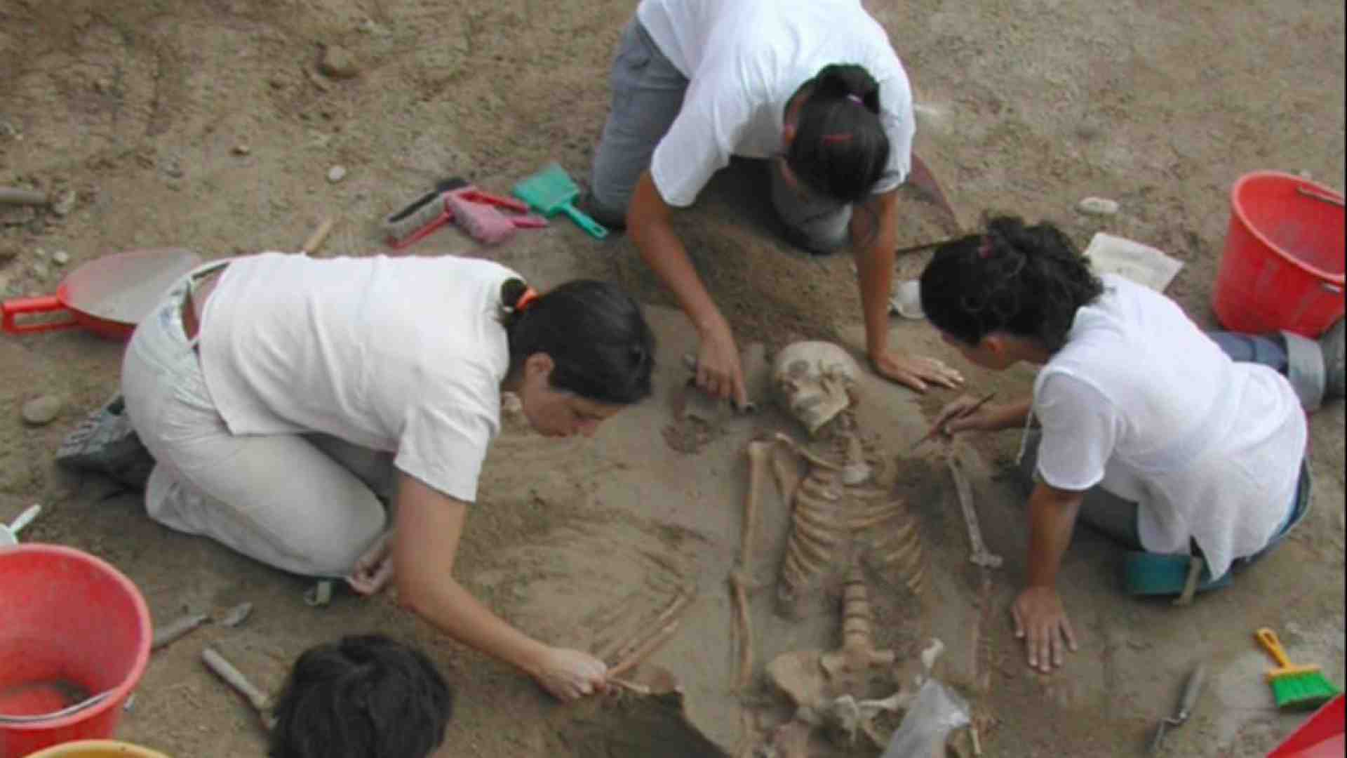 Immagine di Resti di uomini e animali nella necropoli preromana di Verona