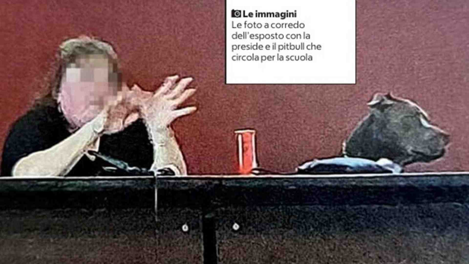 Immagine di Contro-narrazione sulla preside finita alla gogna perché si porta a scuola il pitbull