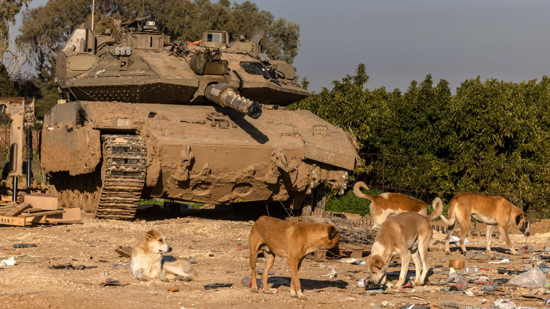 Immagine di La guerra e il baratro dei costi: Israele brucia anche il suo Pil