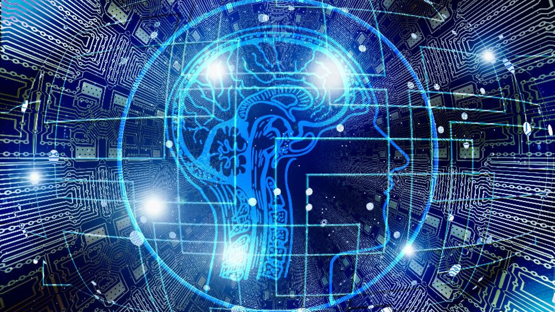 Immagine di Una nuova intelligenza umana per capire le ambiguità della IA