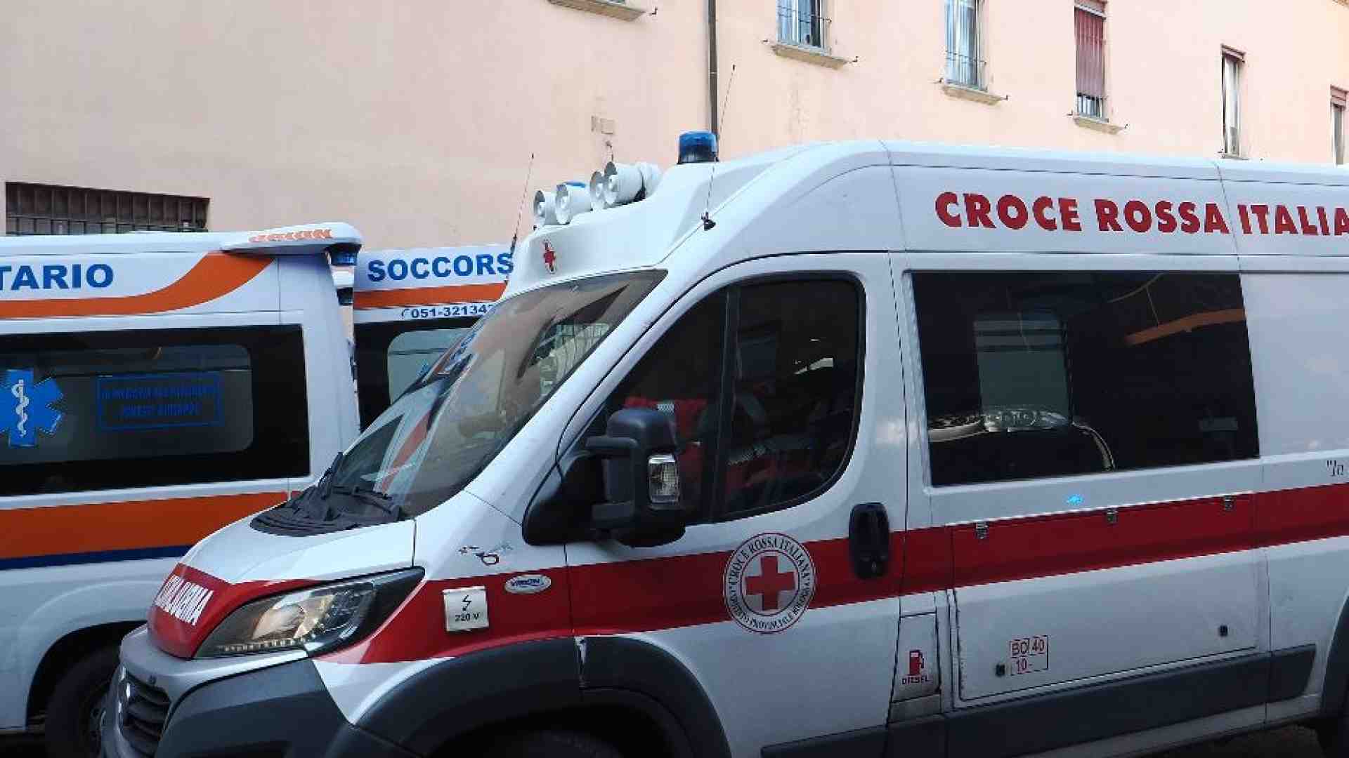 Immagine di «Avevo 36 ore di vita, il doppio trapianto mi ha salvato»